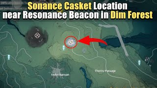 Sonance Casket Location near Resonance Beacon in Dim Forest  Violet Banyan  Wuthering Waves [upl. by Aneetsirk]