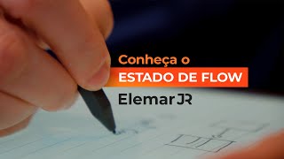 Estado de Flow  O segredo da produtividade [upl. by Annaoy]