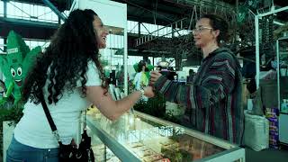 Placebo  HEMP EXPO HEMPZON LUXEMBOURG 2019 [upl. by Stoddart683]