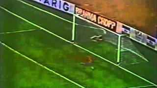 Todos Los Goles de la Copa América Argentina 1987 [upl. by Nawtna]