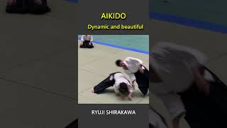 Dynamic and beautiful Aikido  RYUJI SHIRAKAWA [upl. by Ikkim]