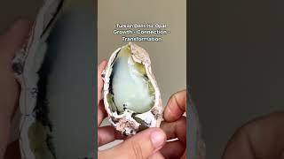 Discover the Magic of Turkish Dendritic Opal Embrace Growth Connection and Transformation [upl. by Brien]