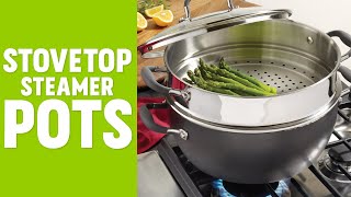 5 Best Stovetop Steamer Pots [upl. by Desimone]