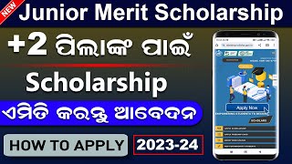 Junior Merit Scholarship 202324 Online Apply  How To Apply Odisha State Scholarship Online 2023 2 [upl. by Gerhan]