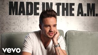 One Direction  Made In The AM Trackbytrack Part 3 [upl. by Ninehc]