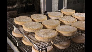 Ferme du Saichy Vosges amp Munster Fermier  La Communauté Des Fromages [upl. by Seabury664]