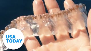 Paddleboarder sees an outlandish weird sea salp in California waters  USA TODAY [upl. by Ainslee378]