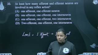 At least how many afferent and efferent neuron are involved in any reflex action [upl. by Lovich]