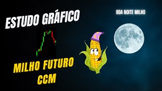 Estudo Milho Futuro  240122 [upl. by Aicenav]