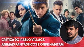 Animais Fantásticos e Onde Habitam  Comentários SEM spoilers [upl. by Antebi]