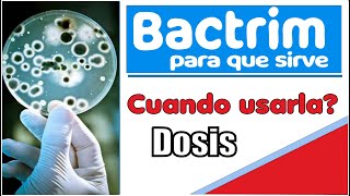 BACTRIM para que sirve cuando usarla efectos medicamentos para infecciones [upl. by Yelsel]