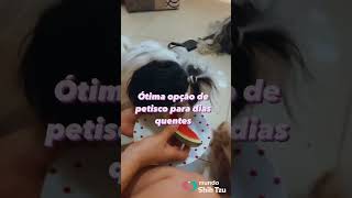 Se você não oferece melancia está perdendo isso 👀🍉 cachorro pode comer melancia mundoshihtzu [upl. by Samalla]