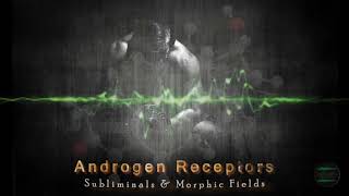 ANDROGEN RECEPTORS AR  Subliminals amp Morphic Fields Sensitivity amp Development [upl. by Anerev]