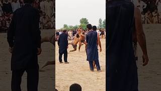 Khel kabaddi ka final match dekh k khiladion ny logon k dil jeet liay September 7 2024 [upl. by Ibbie]