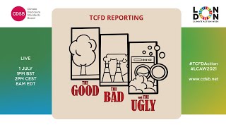 TCFD Reporting the good the bad and the ugly [upl. by Meredith100]