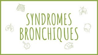 Sémiologie Respiratoire  Introduction aux Syndromes Bronchiques [upl. by Kellyn465]