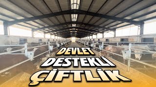 DEVLET DESTEKLİ ÇİFTLİK KURULUMU  DEVLET DESTEKLİ HAYVANCILIK [upl. by Ethban]