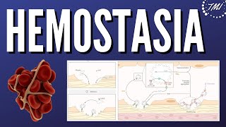 Hemostasia Explicada Claramente [upl. by Lecia]