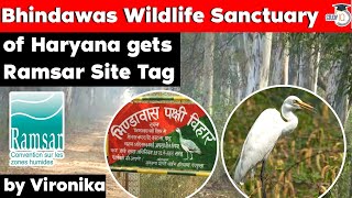 Bhindawas Wildlife Sanctuary of Haryana gets Ramsar Site Tag  Haryana Current Affairs for HPSC HAS [upl. by Stutman]