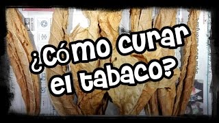 Como Curar Tabaco RubioComo Curar TabacoMi huerto en el balcón [upl. by Ocsicnarf165]