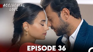 Accidental Love Episode 36 FULL HD [upl. by Radman]