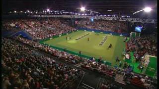 Flyball  Crufts 2007 Final [upl. by Sirej]