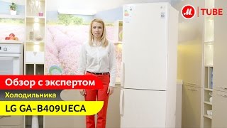 Видеообзор холодильника LG GAB409UECA с экспертом «МВидео» [upl. by Nell]