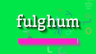 HOW TO SAY FULGHUM fulghum [upl. by Aubine]