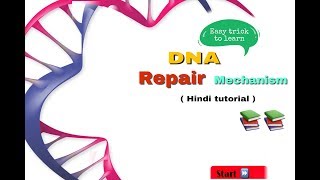 DNA repair in hindi  biology [upl. by Ailaza667]