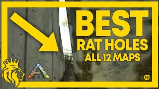 TOP 12 BEST RAT HOLES on All 12 Maps  ARK Survival Evolved [upl. by Eiralc]