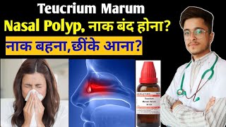 Teucrium Marum Varum 30 Homoeopathic Medicine uses in Hindi [upl. by Etnoled]