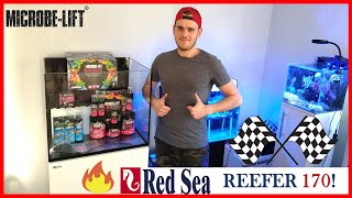 Reefer170 Red Sea Reefer 170  co zawiera zestaw START PROJEKTU 👉akwarium morskie krok po kroku💣🔥 [upl. by Bennink989]