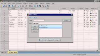 SPSS 16  1 Data Management [upl. by Oigaib108]