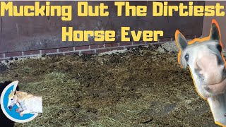 Mucking Out The Dirtiest Horse Ever  Moon Equestrian [upl. by Aninad]