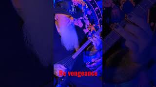 The Wurgler Re Vengeance 3 string flying V [upl. by Yenot]