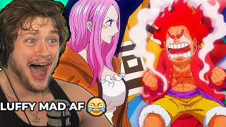 EGG HEAD ISLAND REVEALED REACTION One Piece 1091 Reaction [upl. by Domonic]