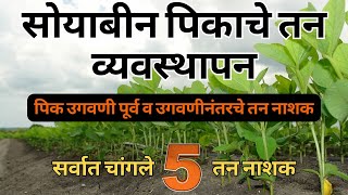 Top soybean herbicide  सर्वात चांगले तननाशक कोणते  तननाशकामुळे जमिनीला व पिकाला होणारा धोका टाळा [upl. by Ellehcram]