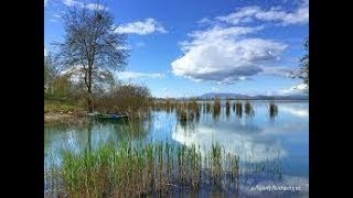 Δωρεάν δολώματα για τα γλυκά νερά Τι υπάρχουν πως τα βρίσκουμε και τι ψαρεύουμε με αυτά vol 2 [upl. by Ahsoym]