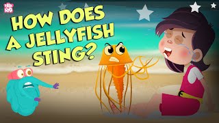 How Does A Jellyfish Sting  Everything About Jellyfish  Dr Binocs Show  Peekaboo Kidz [upl. by Reamy681]