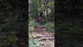 Jumping with the cyclocross bike [upl. by Niarfe283]