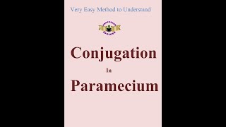 Conjugation in paramecium [upl. by Claus]