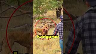 Man Saves Dog From Kangaroo 😱 [upl. by Brandi]