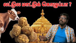 What really happened in Tirupathi  திருப்பதி லட்டுக்கு என்னதான் ஆச்சு  Big Bang Bogan [upl. by Alden]