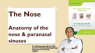 The nose Anatomy of the nose1 Online session Professor Dr Qotb [upl. by Cappella]