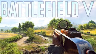 Using the BEST GUNS in Battlefield 5 in ONE Video [upl. by Spooner]