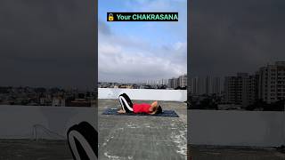 🔓 your CHAKRASANA 😱😍 chakraasan tutorial shorts trending explore yoga fun2shhyoga [upl. by Teufert]