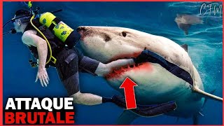 Les Images TERRIFIANTES De Henri Bource En Direct  MANGÉ VIVANT Par Un Requin [upl. by Arlon]