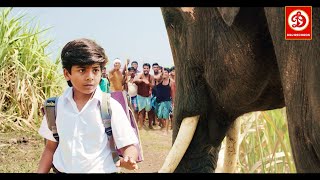 Rajabheema HD New Blockbuster Full Hindi Dubbed Action Movie  Arav Ashima Narwal Yashika [upl. by Bullivant]