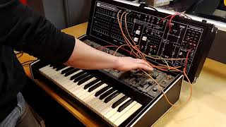 Antonus Step Brother sequencer  Roland System 101 [upl. by Clemmie]