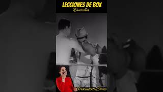 Lecciones de Box cantinflas [upl. by Etnovad]